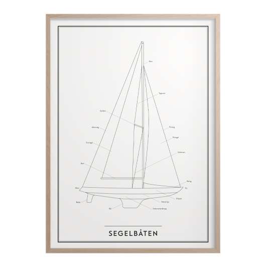 Kunskapstavlan® - Poster 50x70 cm Segelbåten