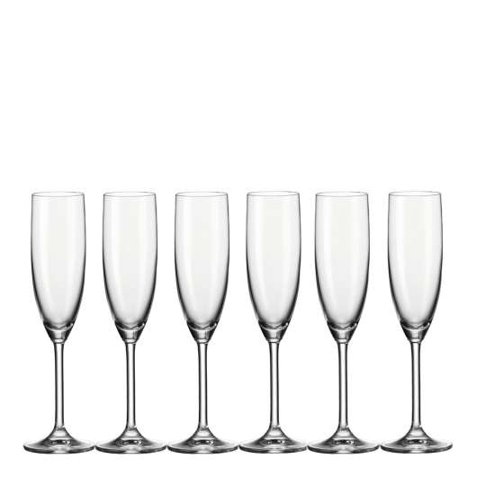 Leonardo - Daily Champagneglas 20 cl 6-pack