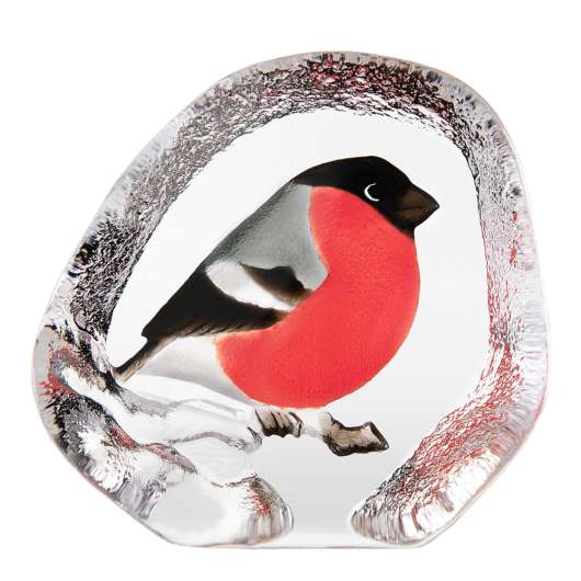 Målerås Glasbruk - Wildlife Domherre 10 cm Röd
