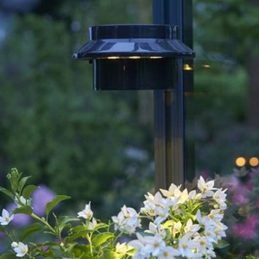 Solcells Lampa - LED - Övriga växthustillbehör